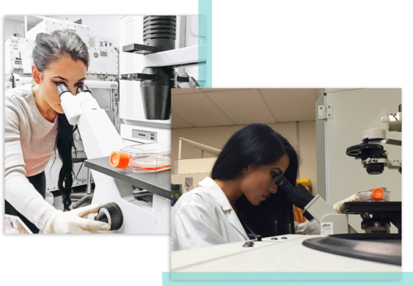 Stephanie buttermore quiz image